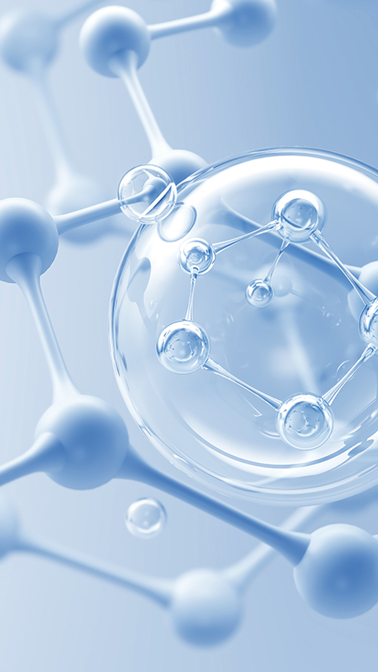 集聚高分子材料領域尖端人才